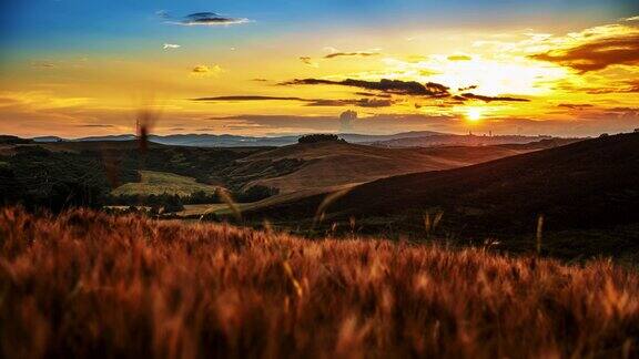 时间流逝田园诗般的金色的麦田在起伏的景观在日出