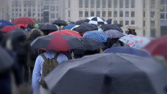 在雨中打着雨伞的乘客后面的观点