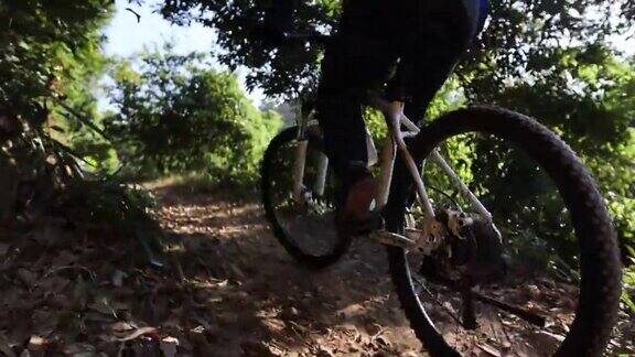 骑自行车在日出热带森林小径