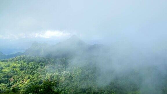 有雾和阳光的热带雨林