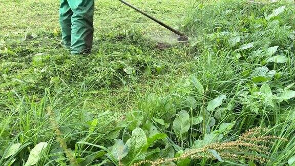 园丁修剪杂草剪草机和割草机草坪养护服务