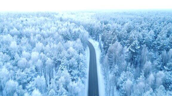 航拍一辆汽车在森林道路上移动的冬天