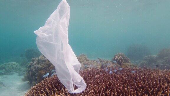 美丽的珊瑚礁被塑料袋污染了