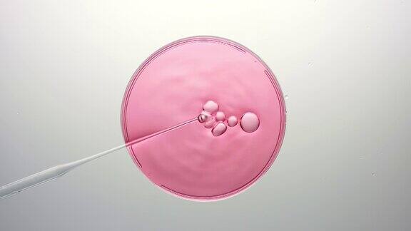 气泡从滴管中冒出来浮在破裂的粉红色液体上