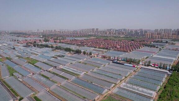 中国农场现代温室种植的航空摄影