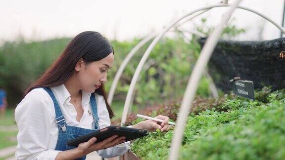 一名妇女在检查有机作物时使用电子平板电脑