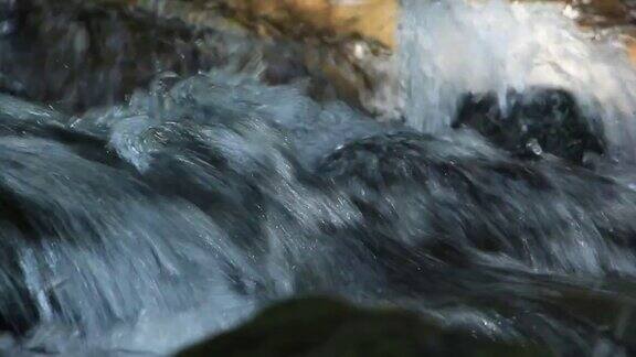 Crearwater河流在风景秀丽的日本森林