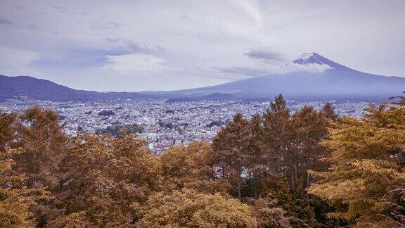 大自然的红枫树和日本富士山镇