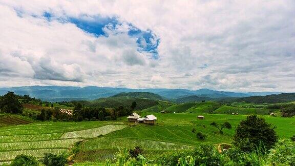在泰国清迈绿色的稻田和云移动时间流逝