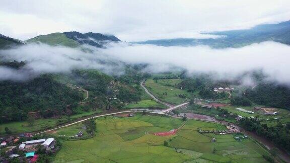 鸟瞰图无人机飞越海雾与稻田在山区泰国南