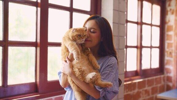 亚洲美女抱着家猫在客厅快乐美丽的年轻女主人感到快乐和放松与她毛茸茸的波斯猫咪一起度过自由的闲暇时光