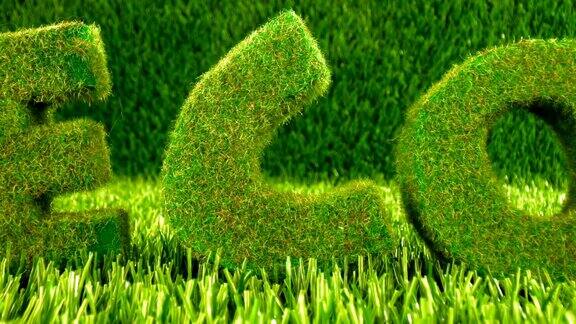 绿色草地上的文字生态概念的背景
