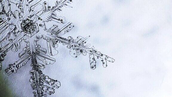 模糊的雪花在显微镜下变得清晰