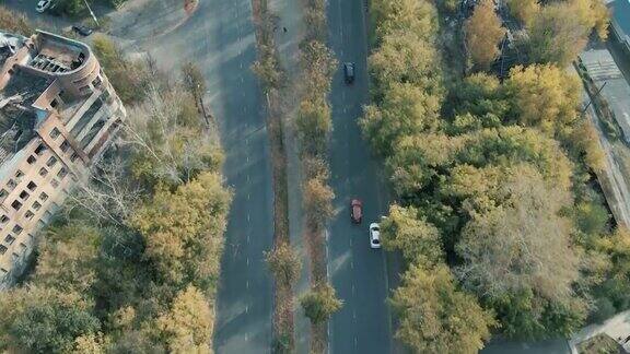 道路双向车道在早上与高大的树木汽车正在驾驶