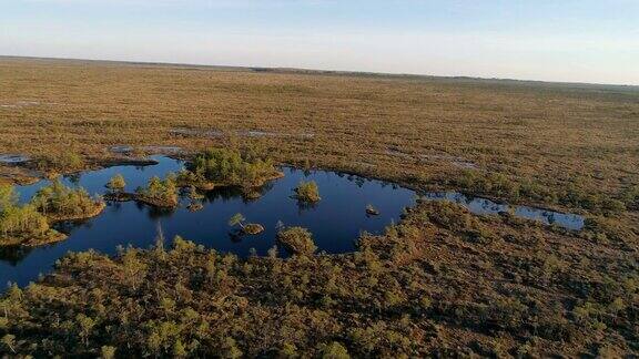 拉脱维亚的泰奇沼泽