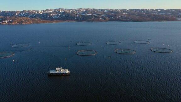 航拍挪威鲑鱼养殖场