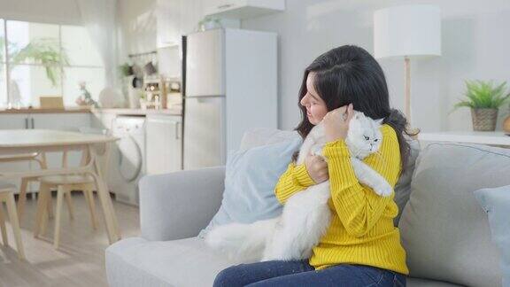 亚洲女人抱着小猫在家里玩得很开心有魅力的美女坐在沙发上在客厅里悠闲地抚摸着她的宠物