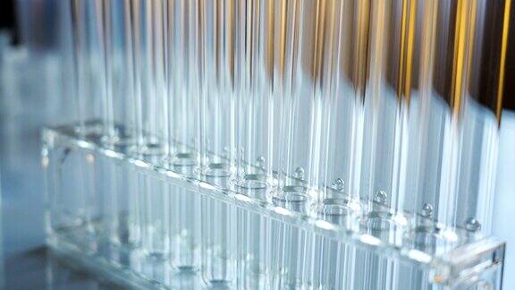 实验室内架子上的长玻璃试管