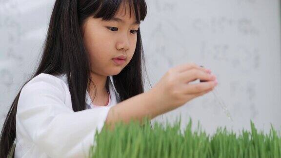 小女孩在化学教室实验室生物学教育项目