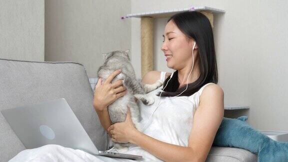 4K亚洲妇女在客厅用笔记本电脑工作时在沙发上玩猫