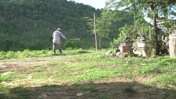 一个农民一个男人走在农田里职业:农业自然种植园泰国农村