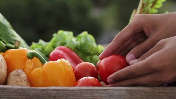 蔬菜和健康饮食