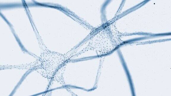 在银白色的背景上大脑中富有艺术感的蓝色神经元在运动使用选择性聚焦