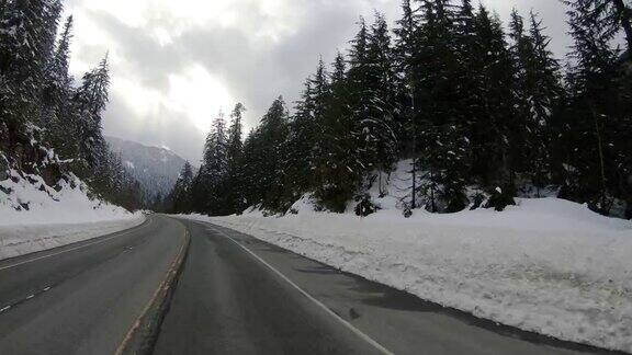 驾驶华盛顿山脉公路上的雪树
