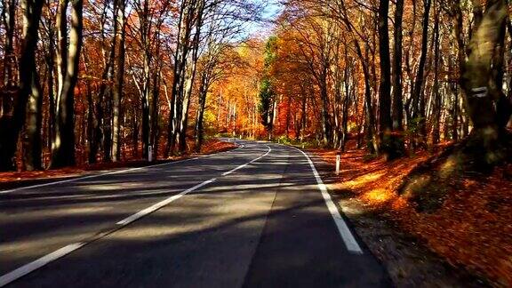 在秋天的森林里开车