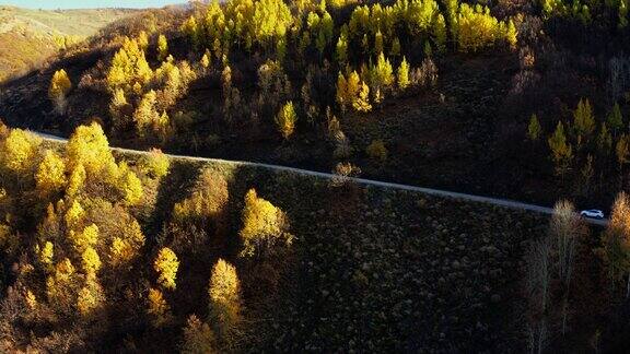 阳光明媚的秋季森林中的乡村道路鸟瞰图白色越野车行驶在秋色的树林中