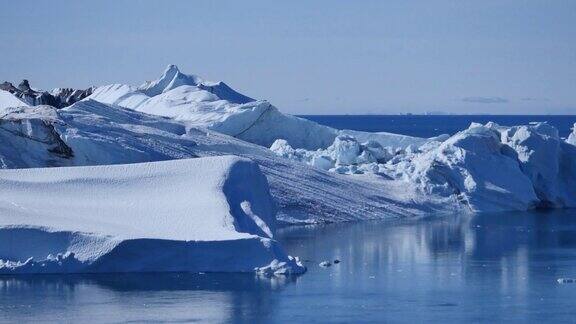 格陵兰鲸潜水捕猎