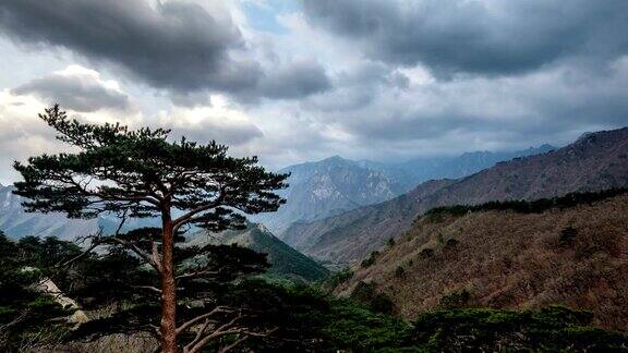 树和悬崖的时间流逝雪山国家公园韩国