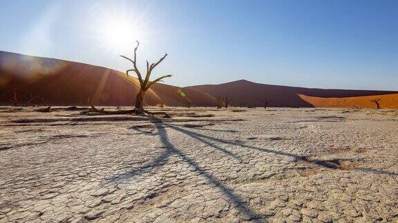 WS时间流逝的太阳在Deadvlei白色粘土沙漠纳米比亚非洲