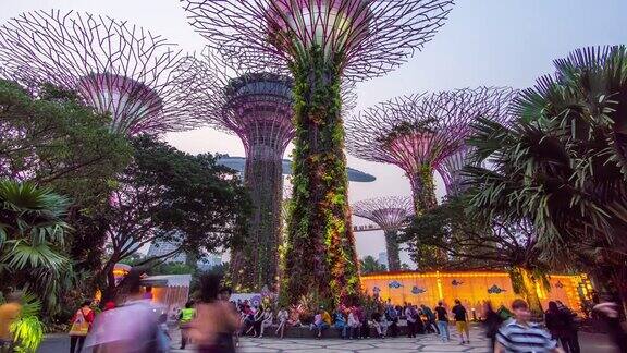 从白天到夜晚的时间跨度在新加坡花园的超级树林在晚上