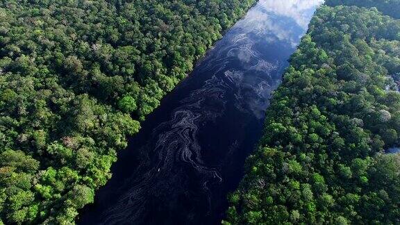 巴西亚马逊雨林鸟瞰图