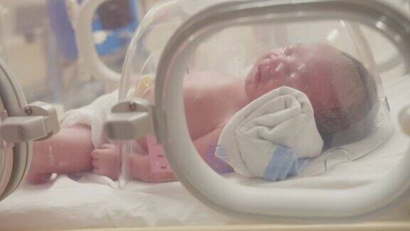 特写小新生儿在新生儿保温箱内睡觉休息的婴儿出生后有呼吸问题的新生儿新生儿重症监护室的新生儿