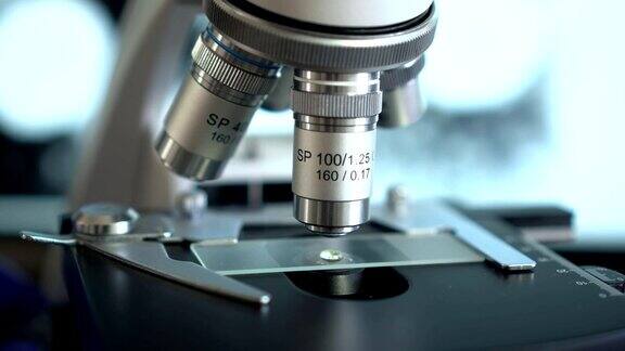 在实验室使用显微镜工作的科学家