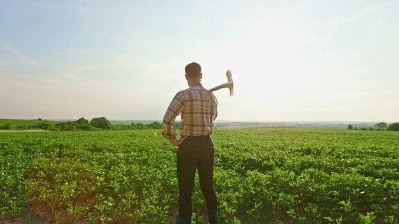 穿着格子衬衫的农民站在田里
