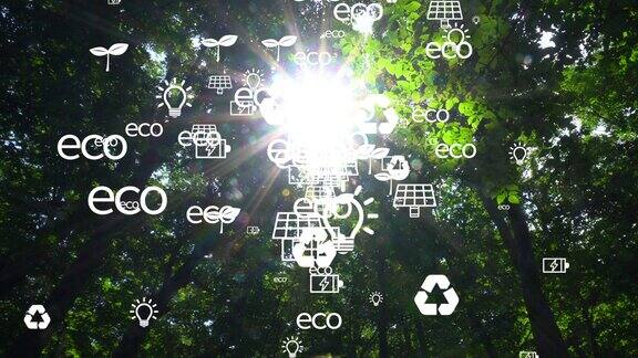 生态理念与环境可持续能源发展可持续资源绿色的森林和阳光