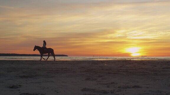 在日落的光在海滩上骑马的剪影广角镜头
