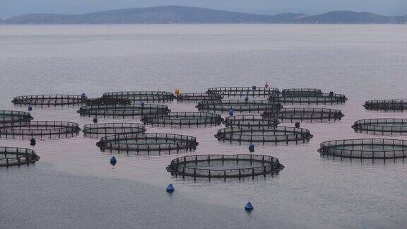 海养鱼场的笼子和渔网养殖多瑙鱼海鲷和海鲈鱼喂鱼饲料的过程以海洋景观和山脉为背景爱奥尼亚海希腊