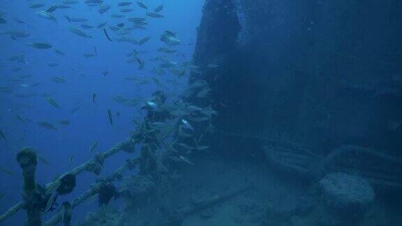 埃及红海水下沉船