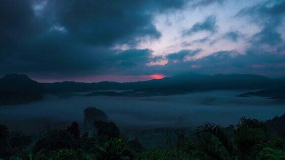 清晨薄雾热带雨林的晨曦
