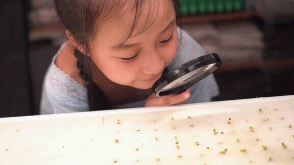 可爱的女孩用放大镜检查水声芽的实验