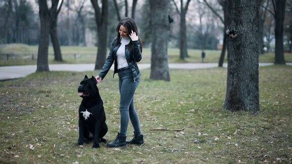 一个女人和她的CaneCorso狗