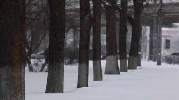 滨海边疆区符拉迪沃斯托克公园下雪