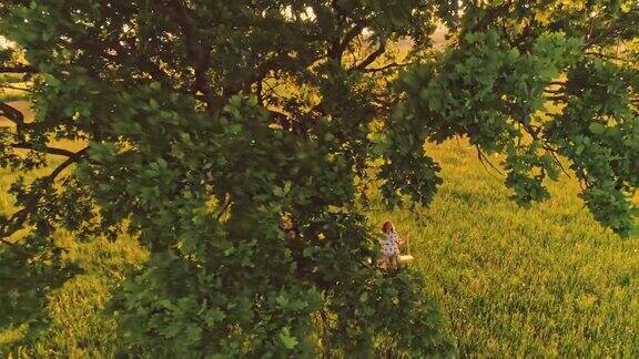 空中女郎在草地上的一棵树上荡秋千