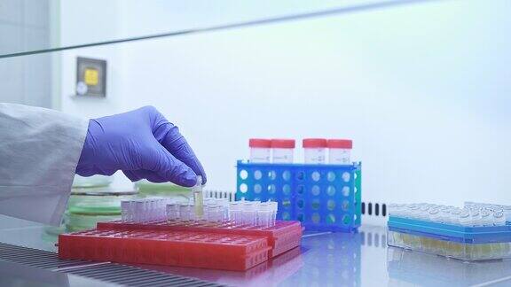 在进行PCR检测之前科学家们会取出并检查小试管中的医疗样本