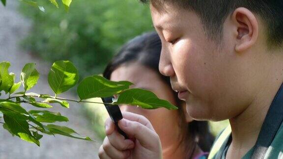 亚洲儿童使用放大镜在森林自然保护区在户外冒险