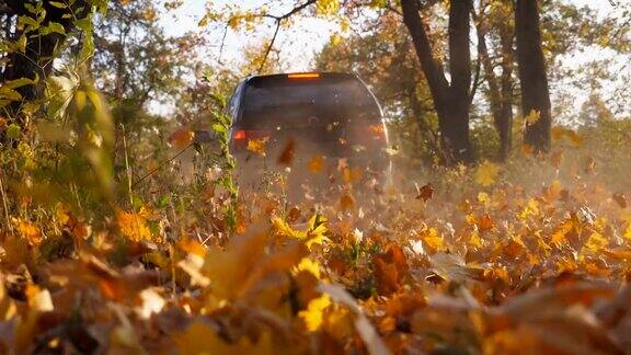 一辆强劲的汽车穿过公园里的黄叶小巷五颜六色的秋叶从车轮下飞了出来在阳光明媚的日子里黑色SUV沿着小路快速行驶低角度视角慢动作